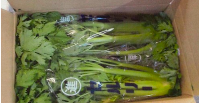 【9都道県のスーパー】茨城県産の「セロリ」2,380kgを回収「残留基準値を超える農薬」